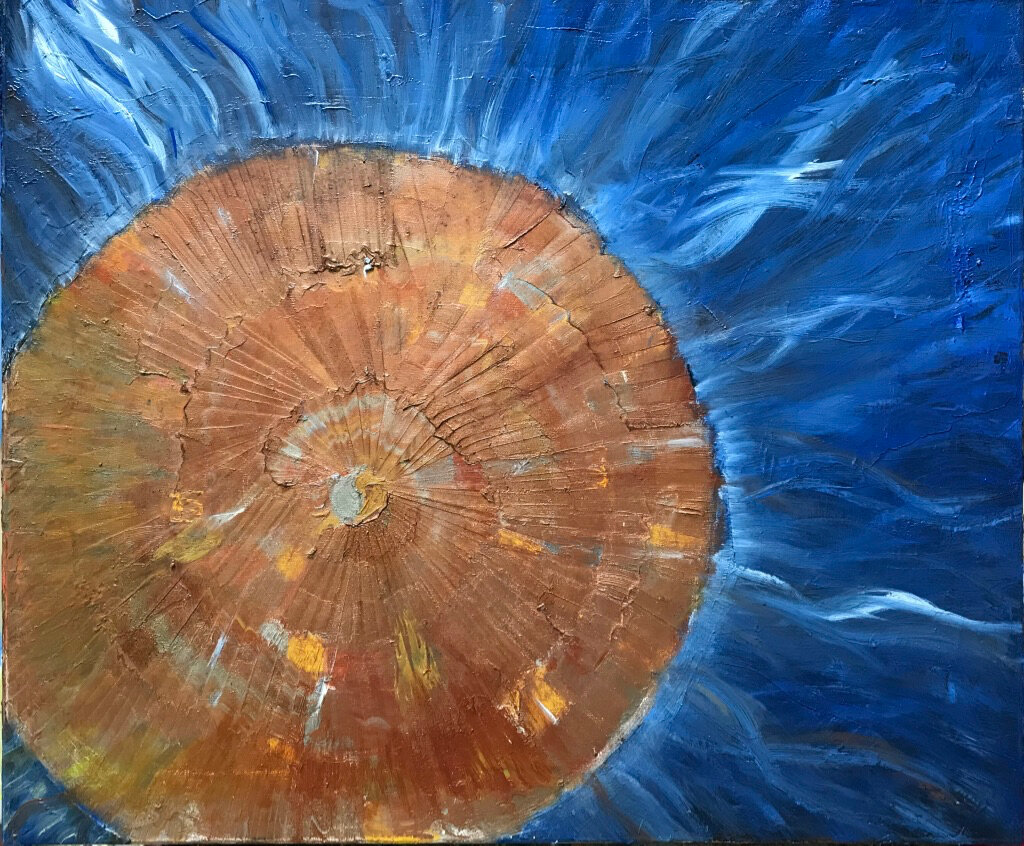 Helix, Huile sur toile, 60 × 50 cm